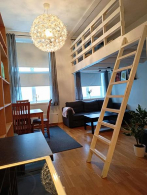 Sentral leilighet med stor sovehems